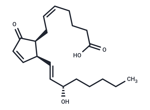 8-iso Prostaglandin A2