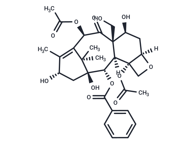 19-Hydroxybaccatin III