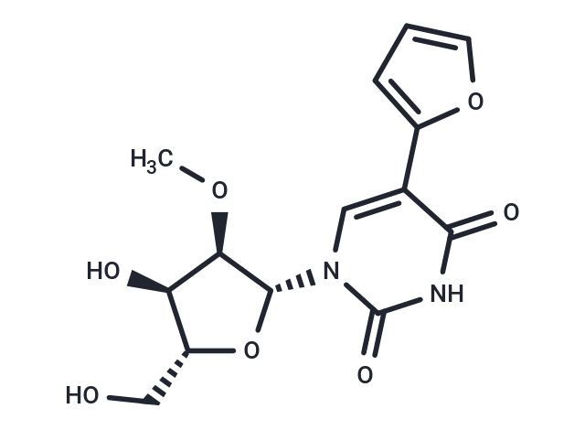 5-Furan-2-yl-2'-O-methyl uridine