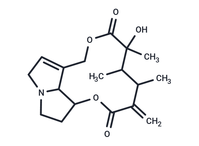 Senecivernine