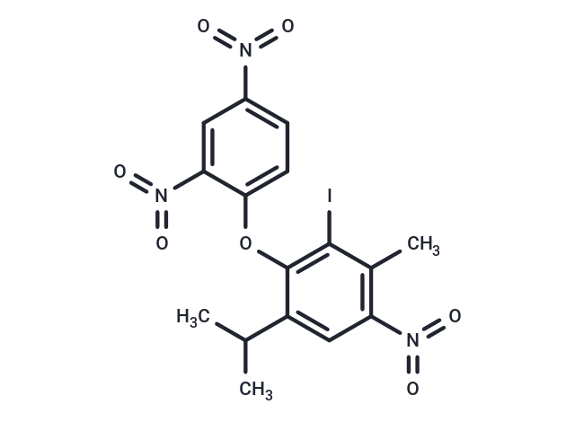 DNP-INT