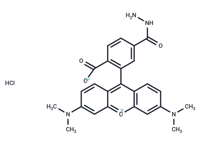 TAMRA hydrazide (6-isomer)