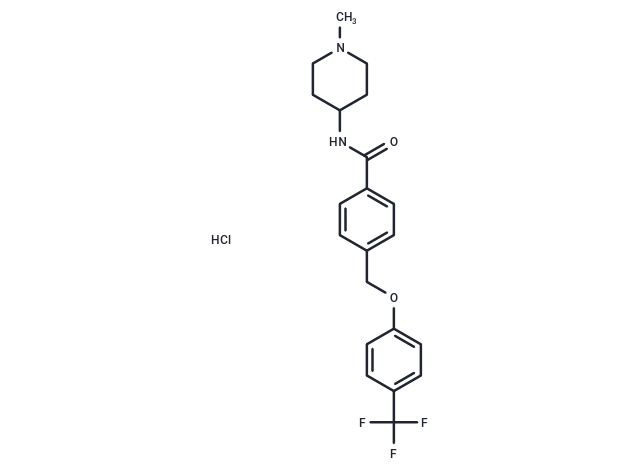 GT-0198 HCl