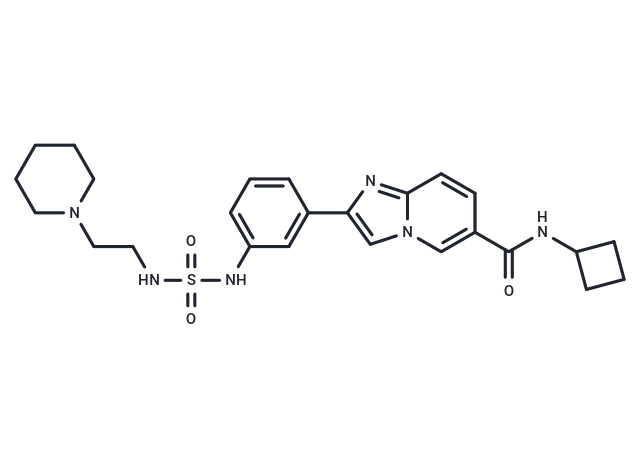 SR-0813