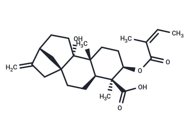 3alpha-Angeloyloxypterokaurene L3