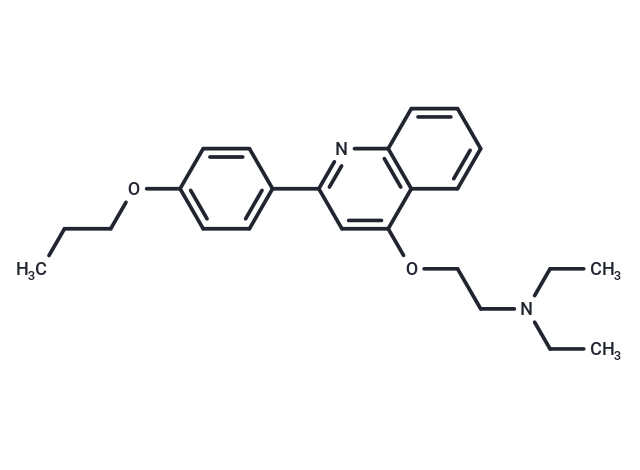 SARS-CoV-2-IN-20