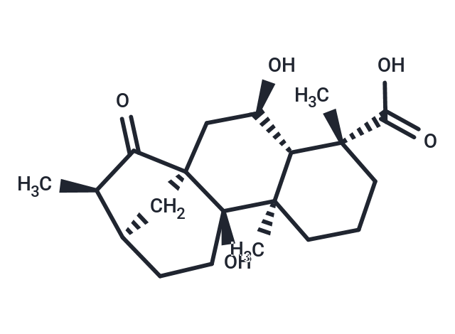 Pterisolic acid D