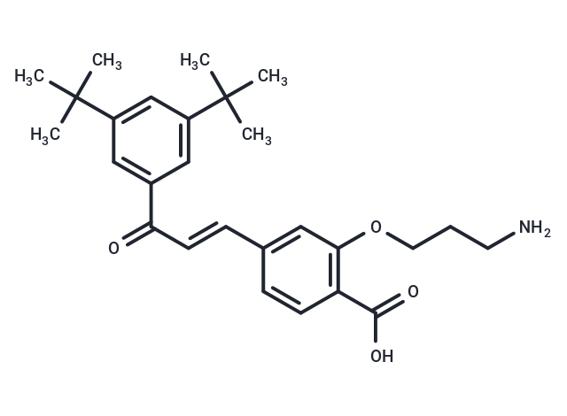 Ch55-O-C3-NH2