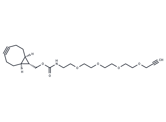 BCN-PEG4-alkyne