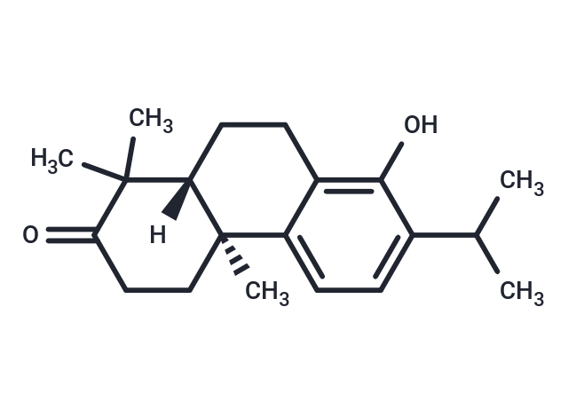 Triptonoterpene