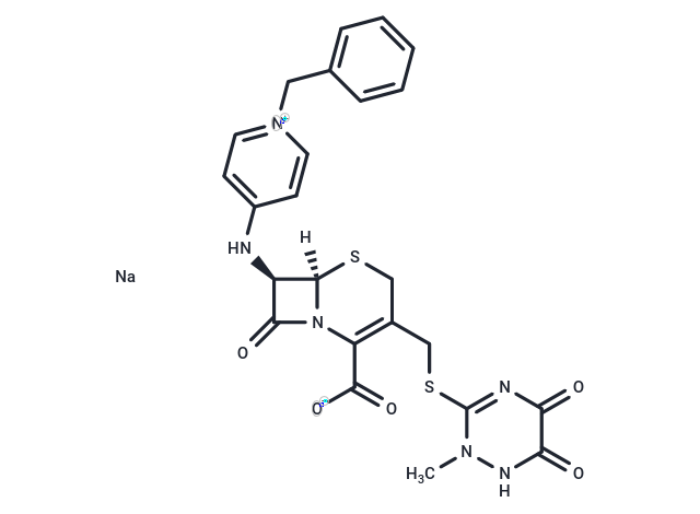 L 652813