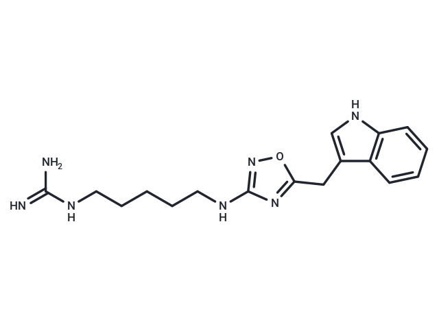 Phidianidine B