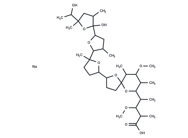 Kijimicin Na