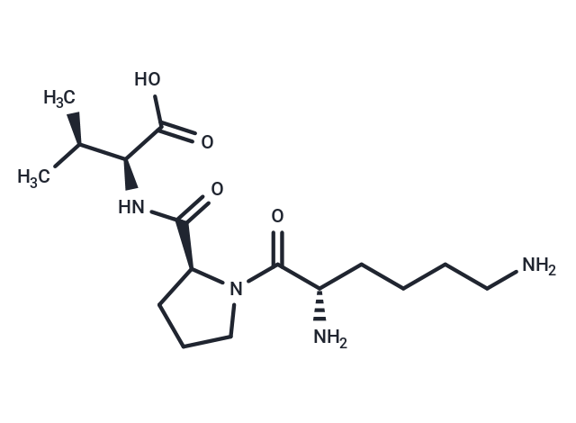 Msh (11-13)