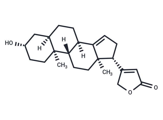 14-Anhydrodigitoxigenin