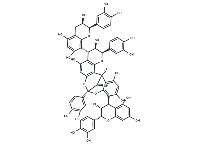 Cinnamtannin B2