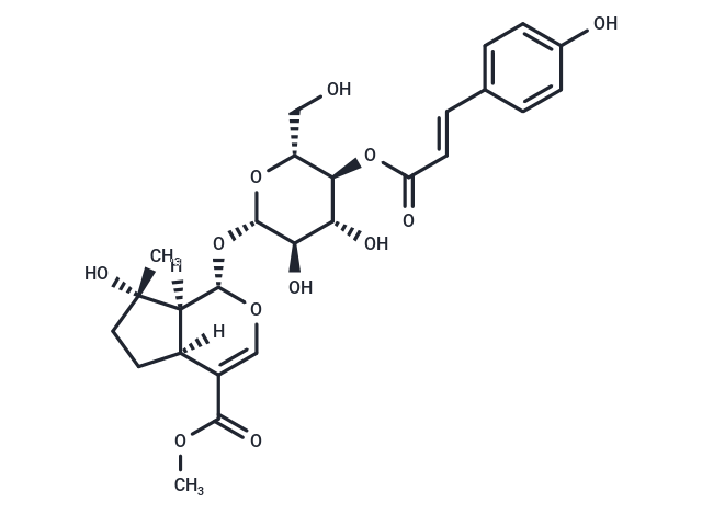 4'-O-trans-p-Coumaroylmussaenoside