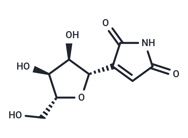 Showdomycin