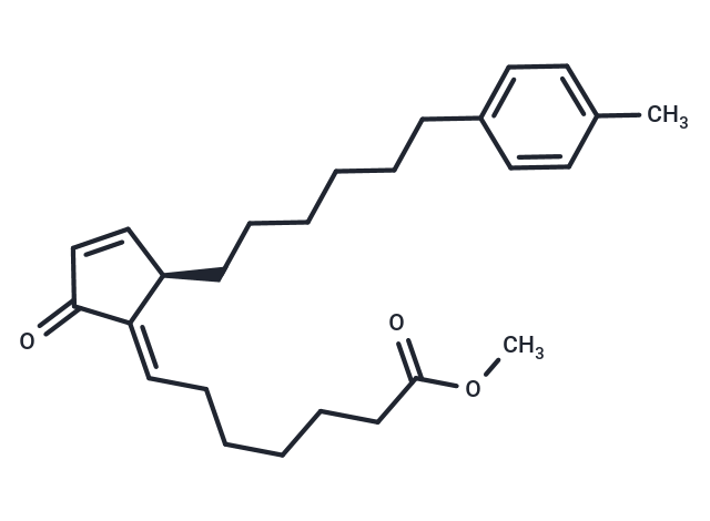 NEPP-11