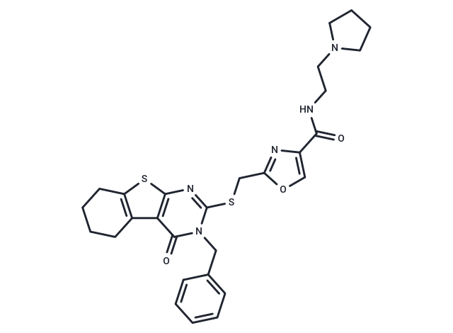 DK-1-49