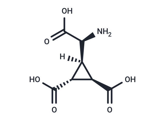 DCG-IV