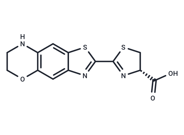 CycLuc3