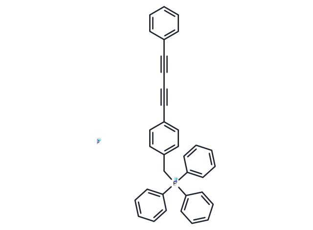 MitoBADY