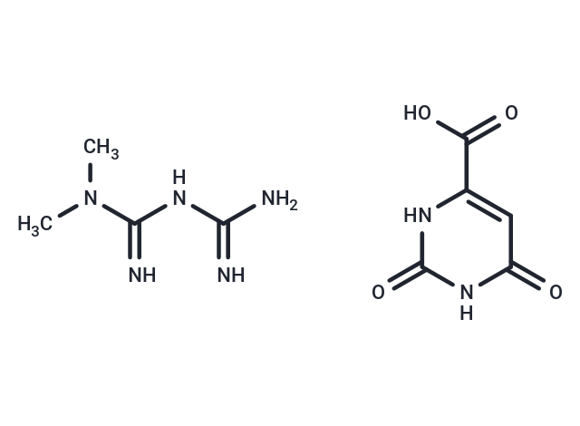 Metformin orotate