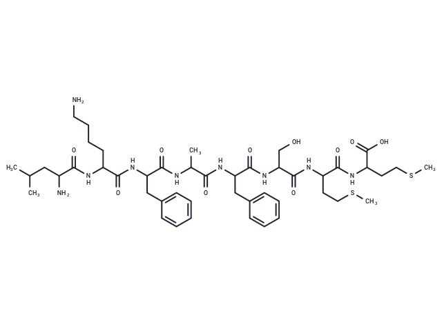 Influenza A virus fragment