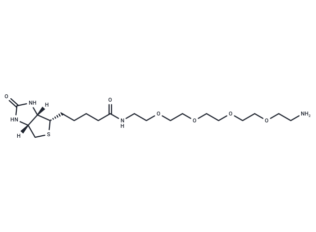 Biotin-PEG4-amine