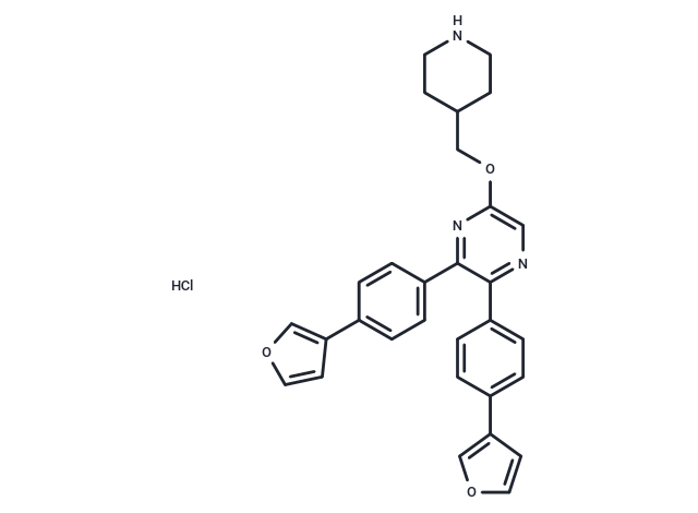 CBP/p300-IN-19 hydrochloride