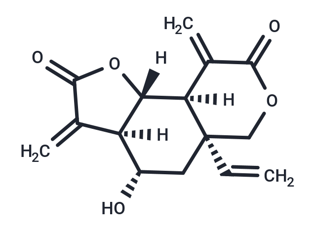 Vernolepin