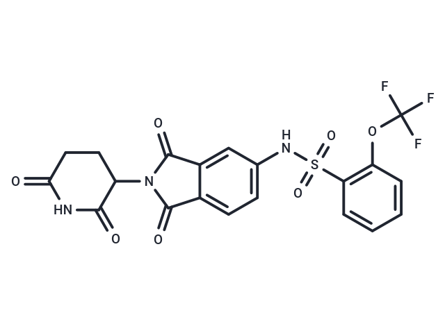 SJ6986