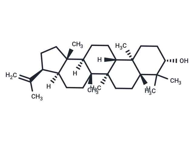 3β-Hydroxy-hop-22(29)-ene