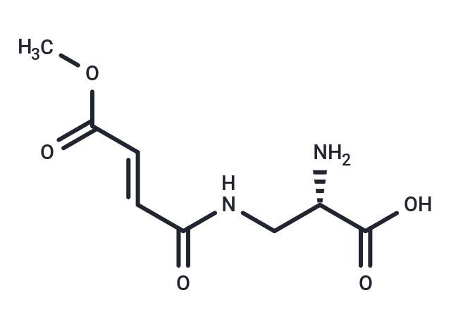 FMDP