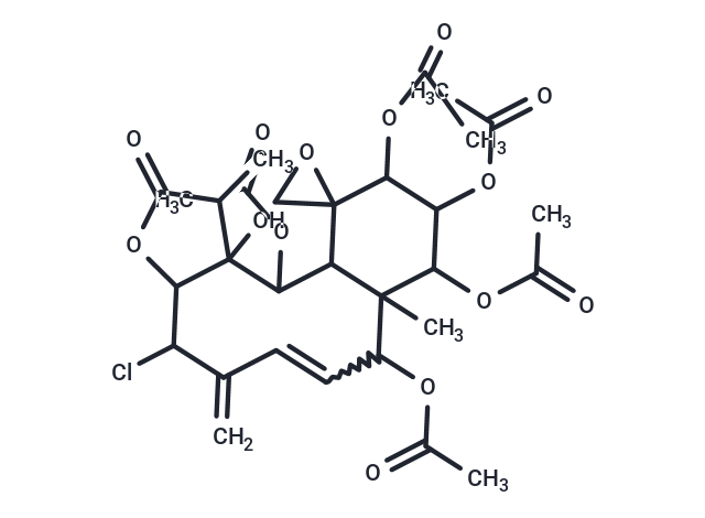 Juncin E