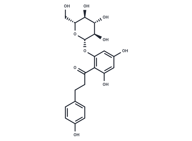 Phlorizin