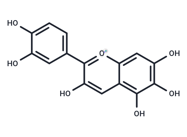 Quercetagetinidin chloride