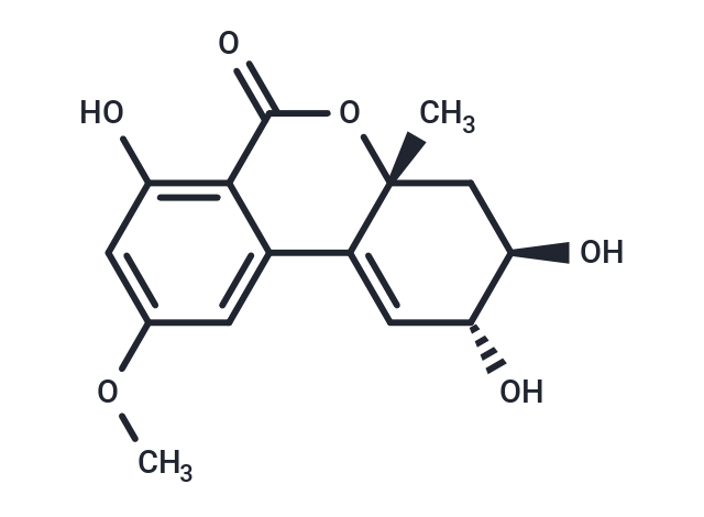 Altenuene