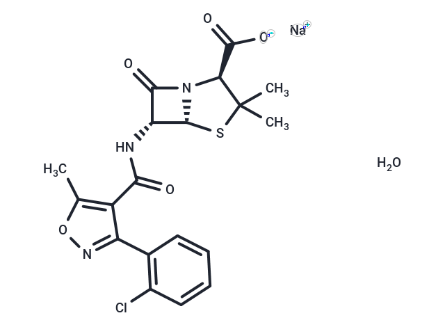 Cloxacillin sodium monohydrate