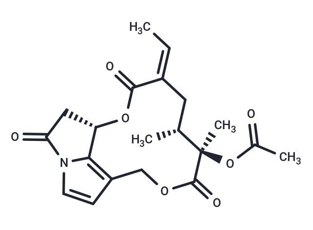 Senaetnine