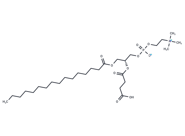 1-Palmitoyl-2-succinyl-sn-glycerophosphorylcholine