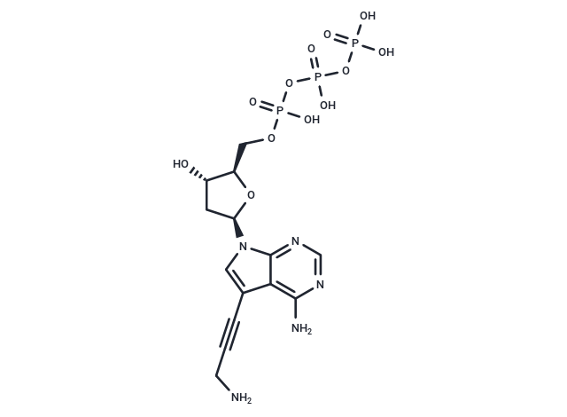 7-Deaza-7-propargylamino-dATP