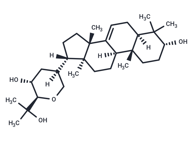 Sapelin A