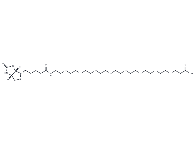 Biotin-PEG8-acid