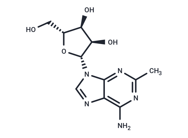 2-Methyladenosine