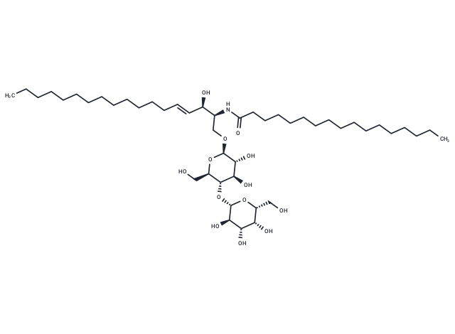 C17 Lactosylceramide (d18:1/17:0)