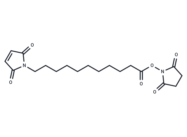 Maleimide-C10-NHS ester