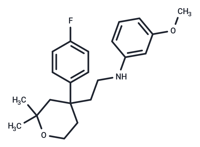 ICMT-IN-27