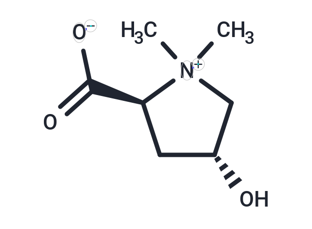 Betonicine